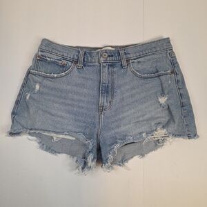 Abercrombie & Fitch The Mom Short Mid Rise Curve Love 30/10